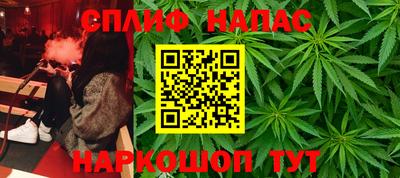 СК Краснодар