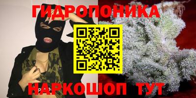 СК Краснодар