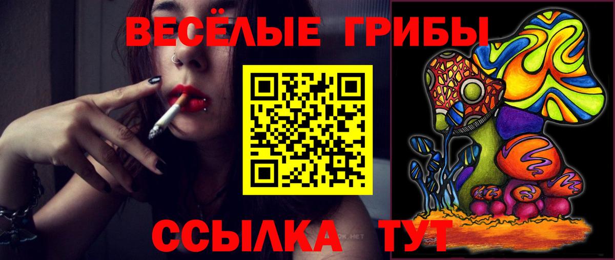 Псилоцибиновые грибы прущие грибы Энгельс