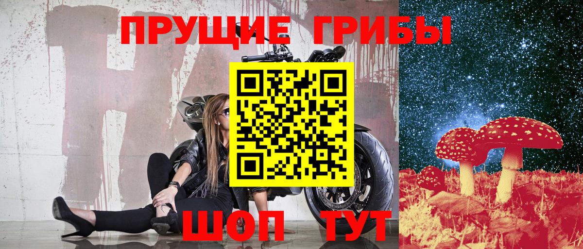 Псилоцибиновые грибы MAGIC MUSHROOMS  Вход с VPN  Энгельс 